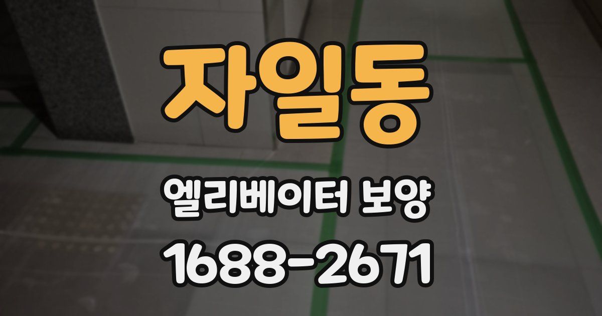 자일동 엘리베이터 보양