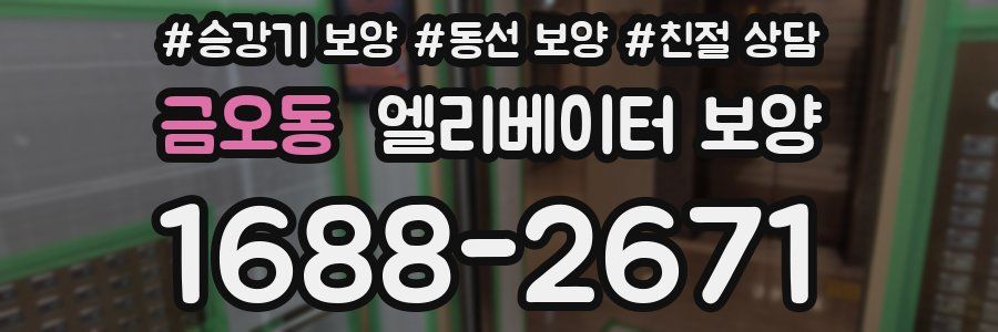 금오동 엘리베이터 보양