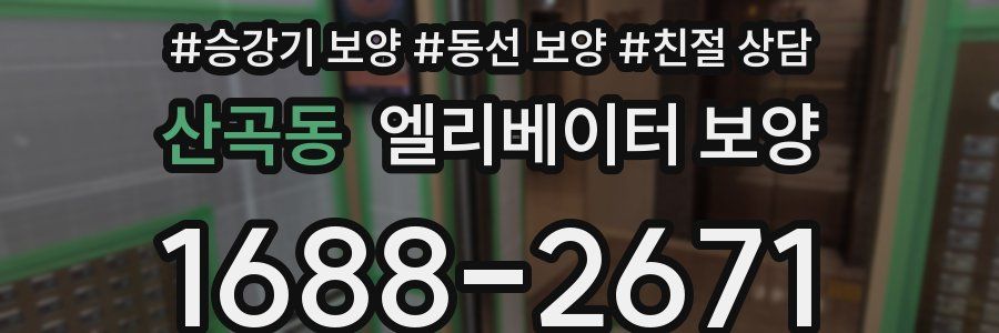 산곡동 엘리베이터 보양