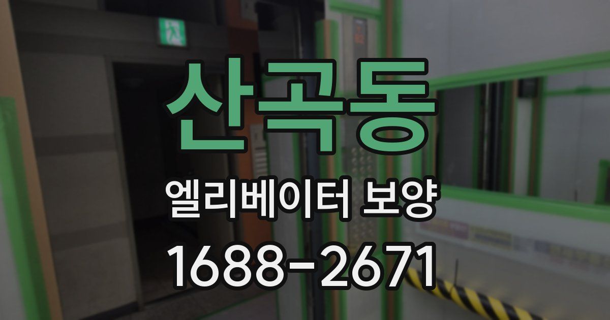 산곡동 엘리베이터 보양