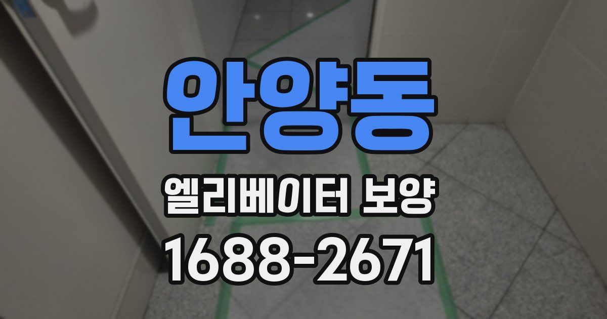 안양동 엘리베이터 보양