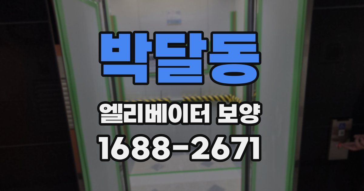 박달동 엘리베이터 보양