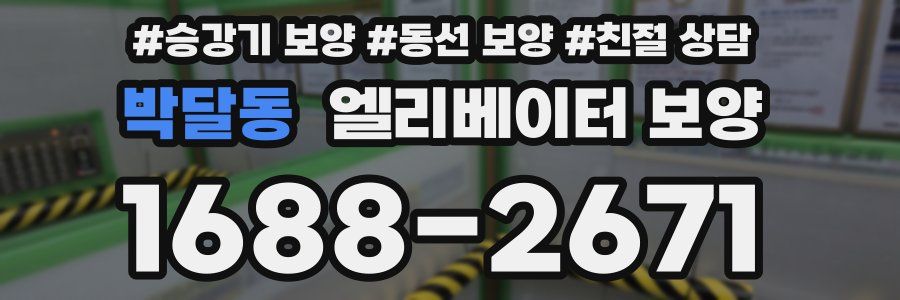 박달동 엘리베이터 보양