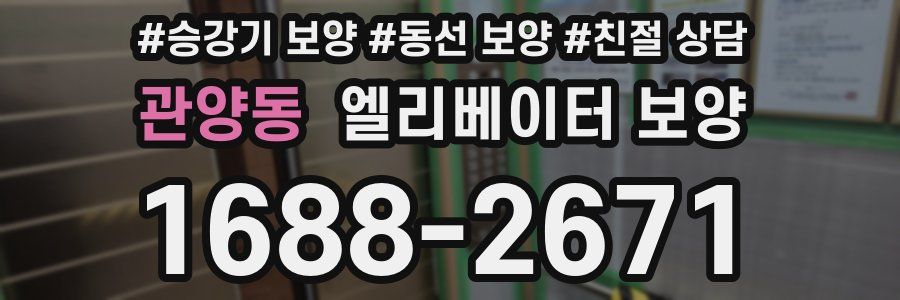 관양동 엘리베이터 보양