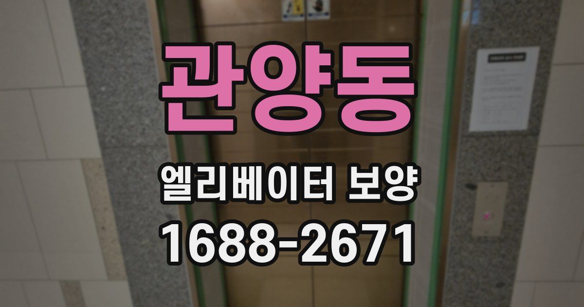 관양동 엘리베이터 보양