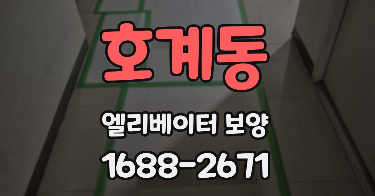 호계동 엘리베이터 보양