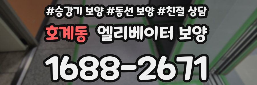 호계동 엘리베이터 보양