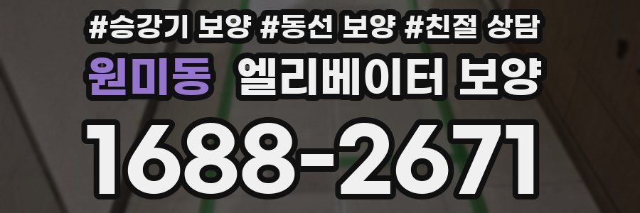 원미동 엘리베이터 보양