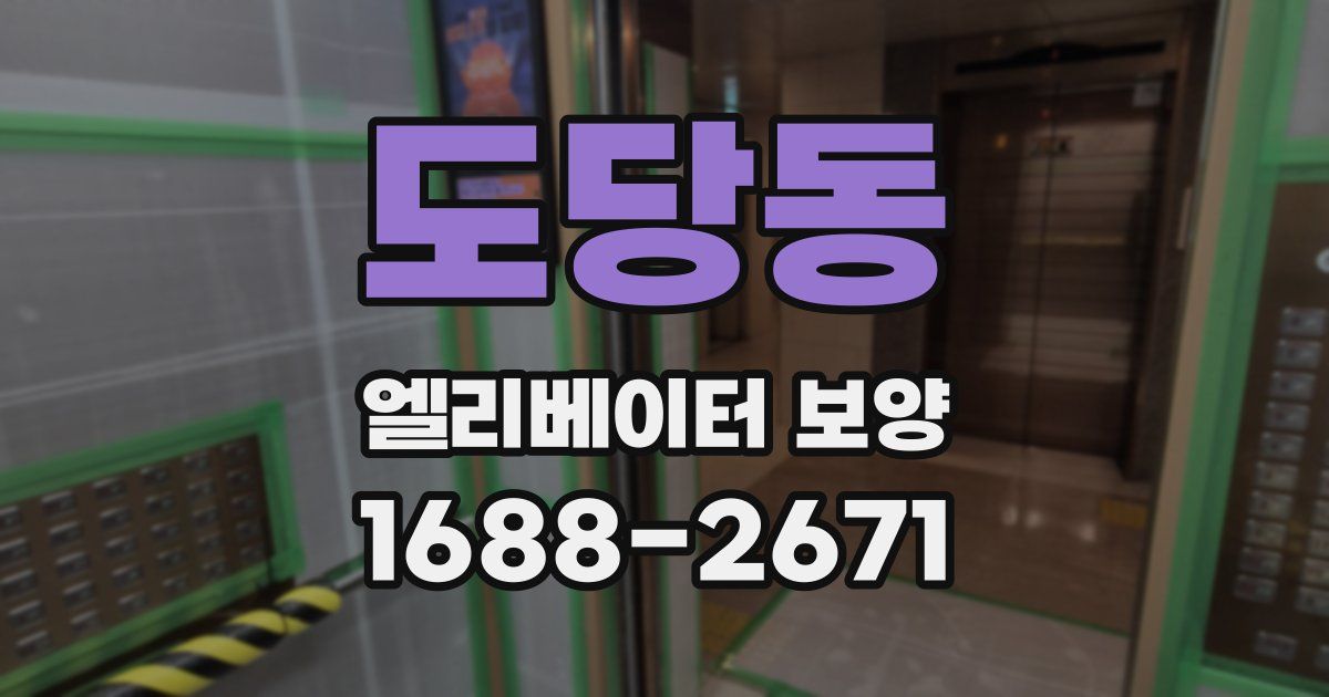 도당동 엘리베이터 보양