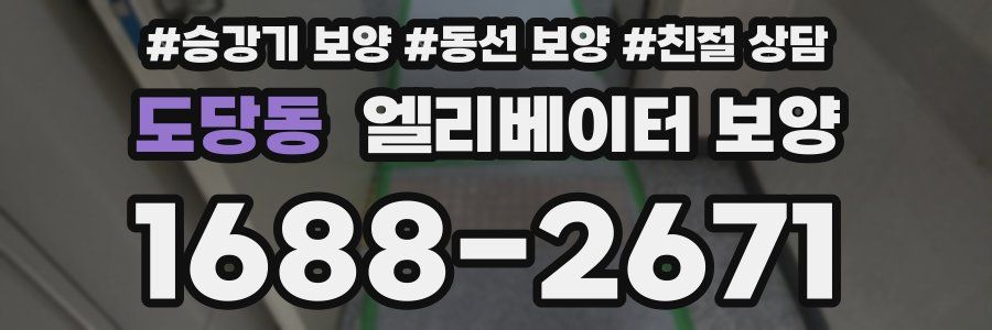 도당동 엘리베이터 보양