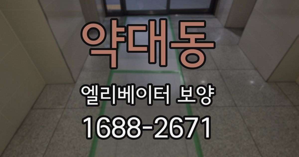 약대동 엘리베이터 보양