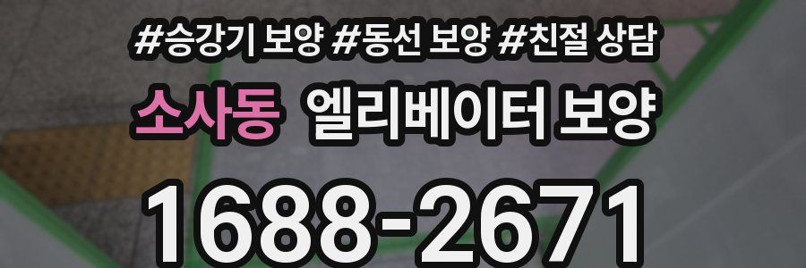 소사동 엘리베이터 보양