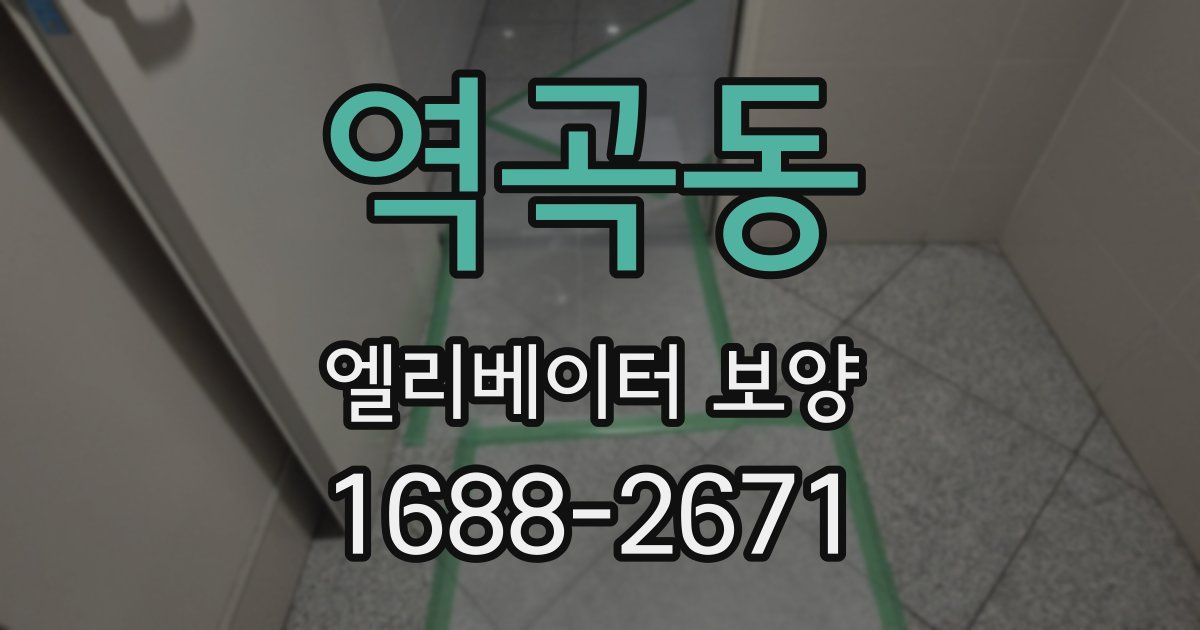 역곡동 엘리베이터 보양