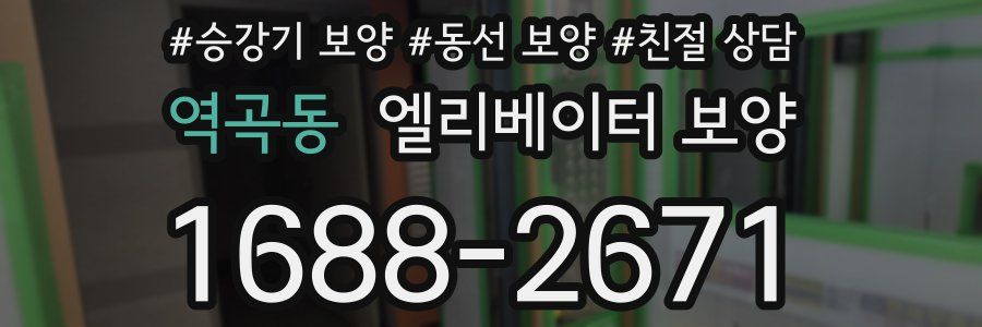 역곡동 엘리베이터 보양
