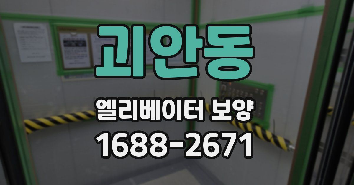 괴안동 엘리베이터 보양