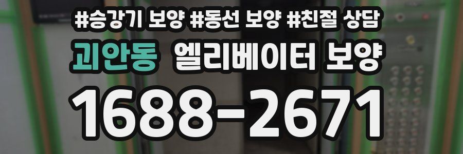 괴안동 엘리베이터 보양