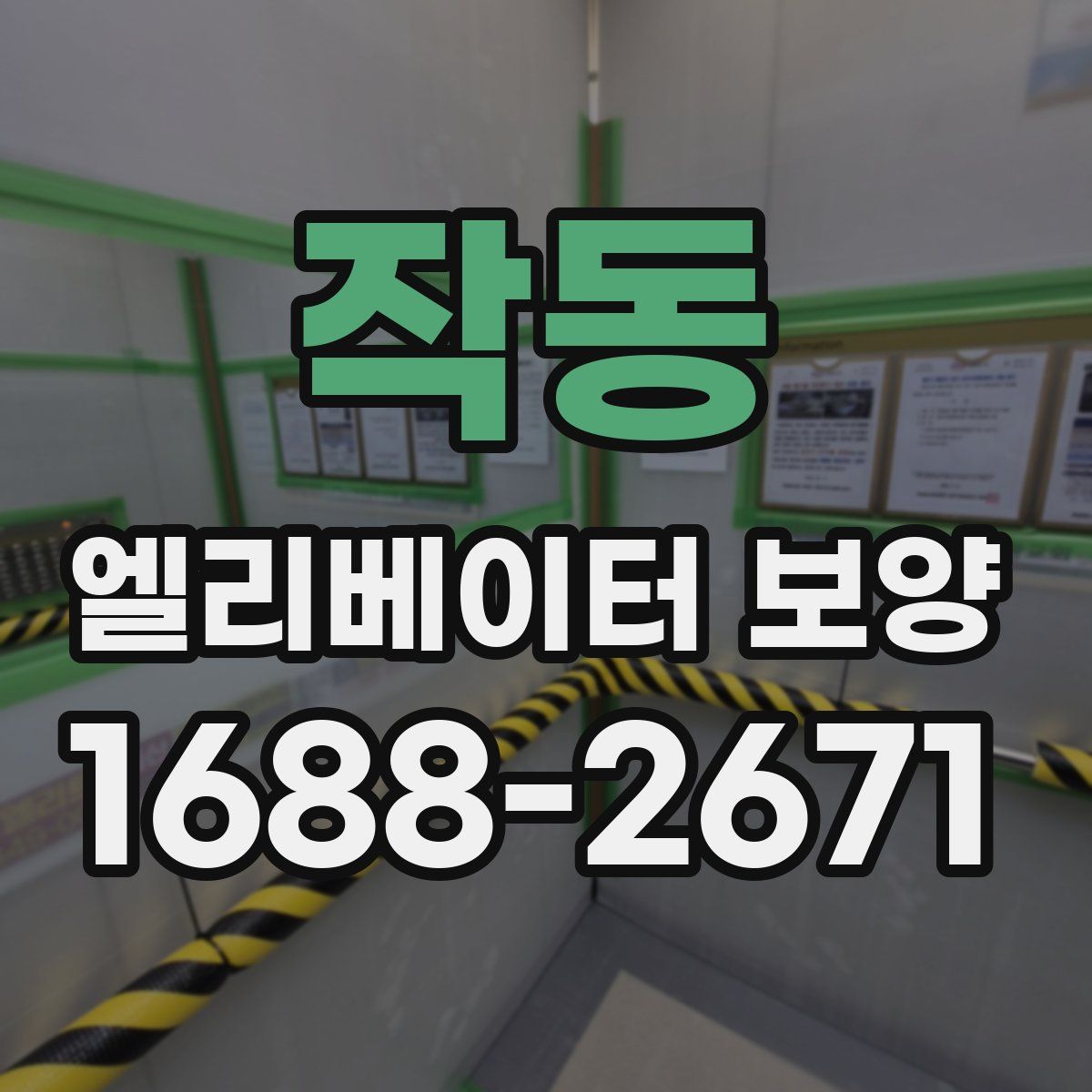 작동 엘리베이터 보양