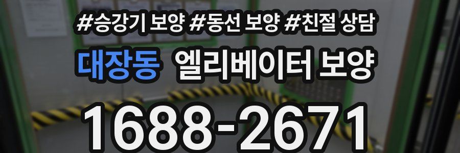 대장동 엘리베이터 보양