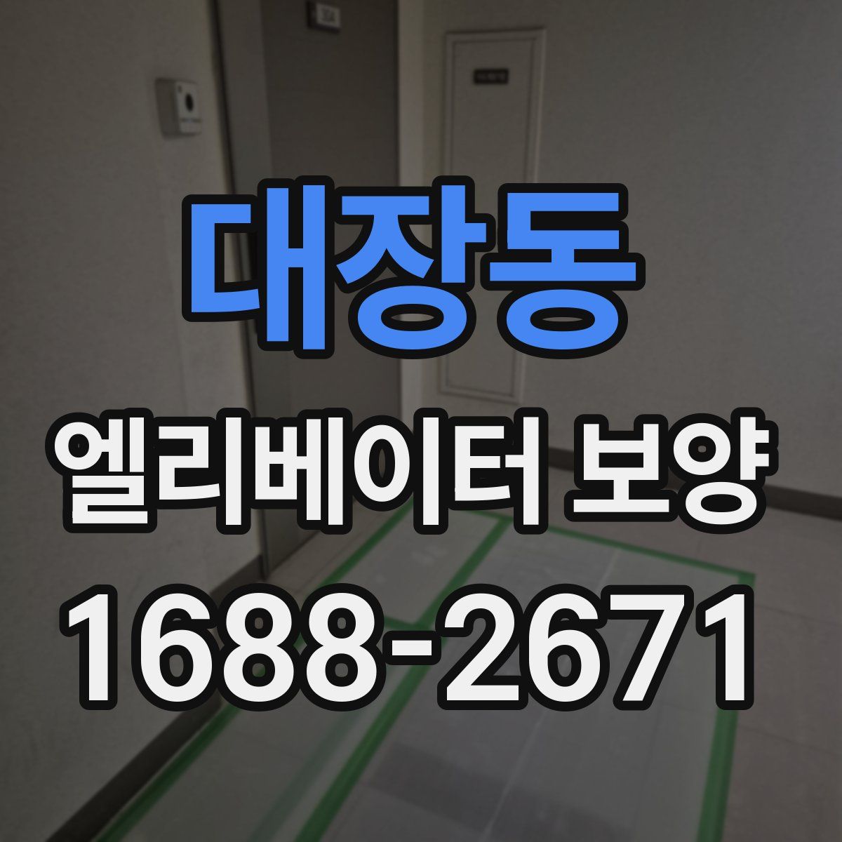 대장동 엘리베이터 보양