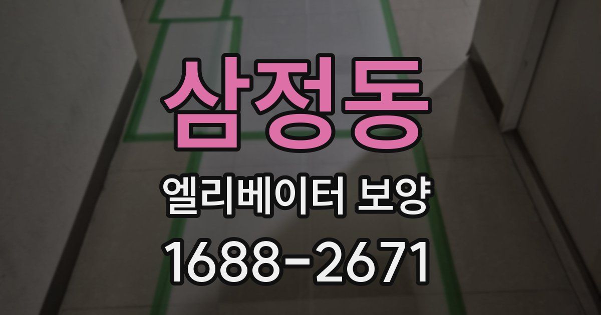 삼정동 엘리베이터 보양