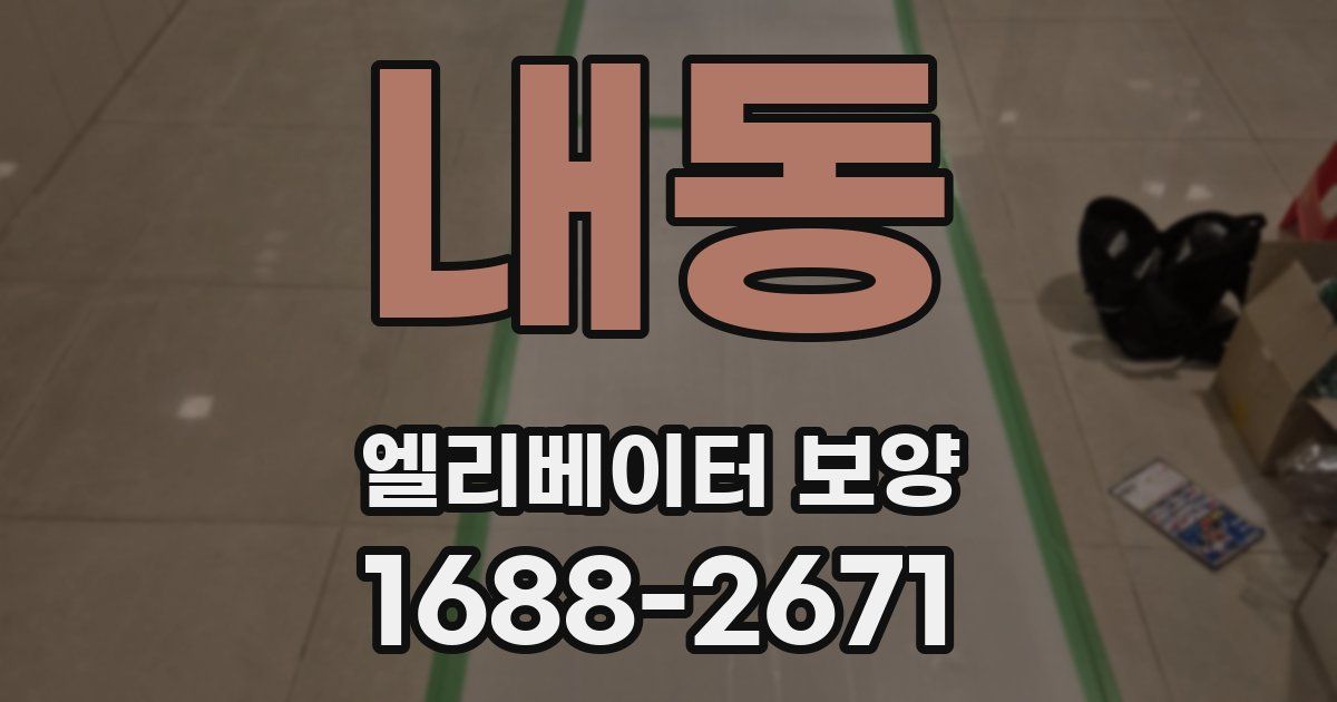 내동 엘리베이터 보양
