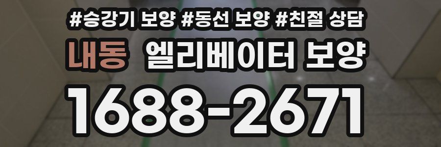 내동 엘리베이터 보양