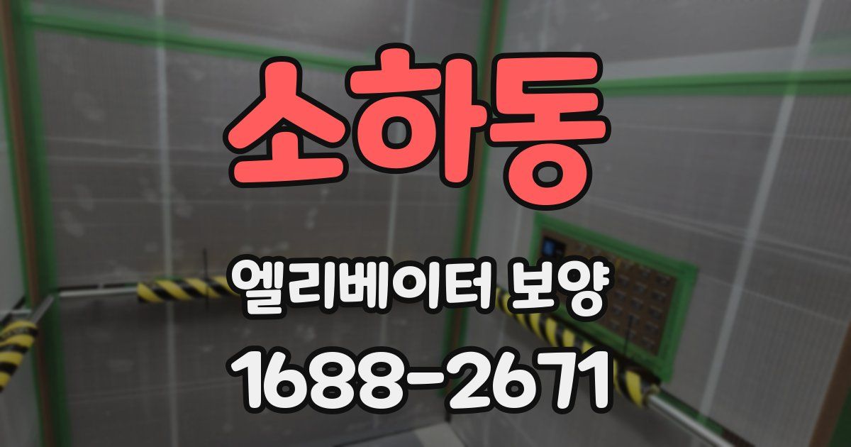 소하동 엘리베이터 보양