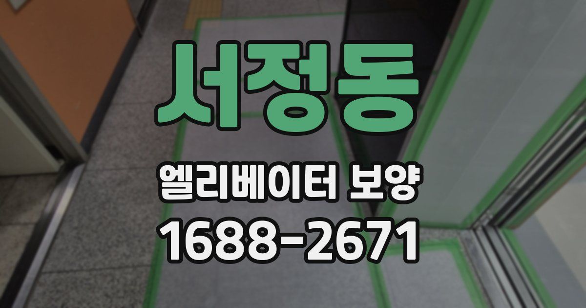 서정동 엘리베이터 보양