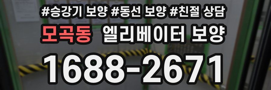 모곡동 엘리베이터 보양