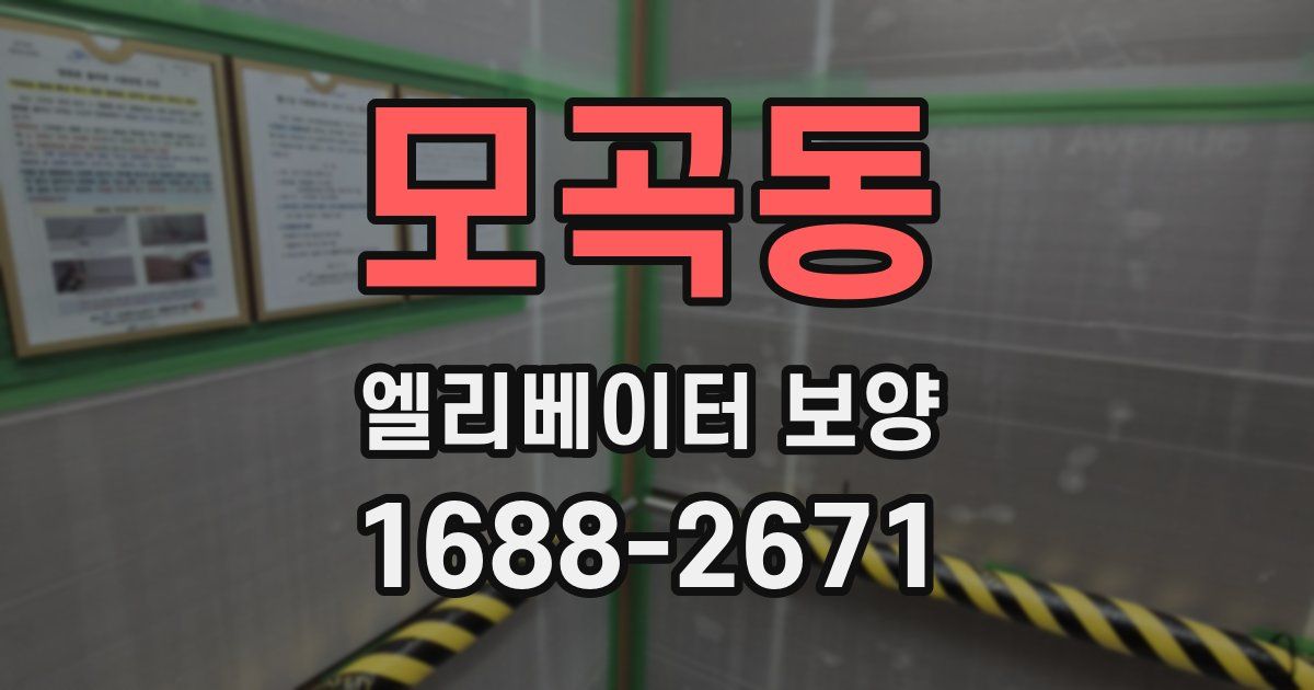 모곡동 엘리베이터 보양