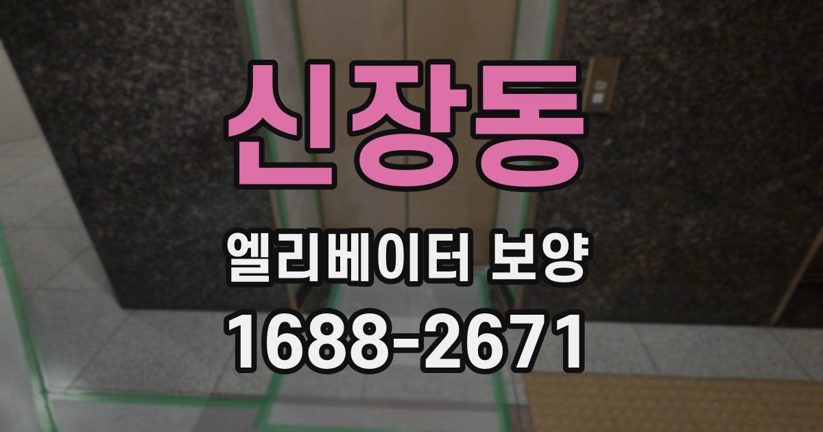 신장동 엘리베이터 보양