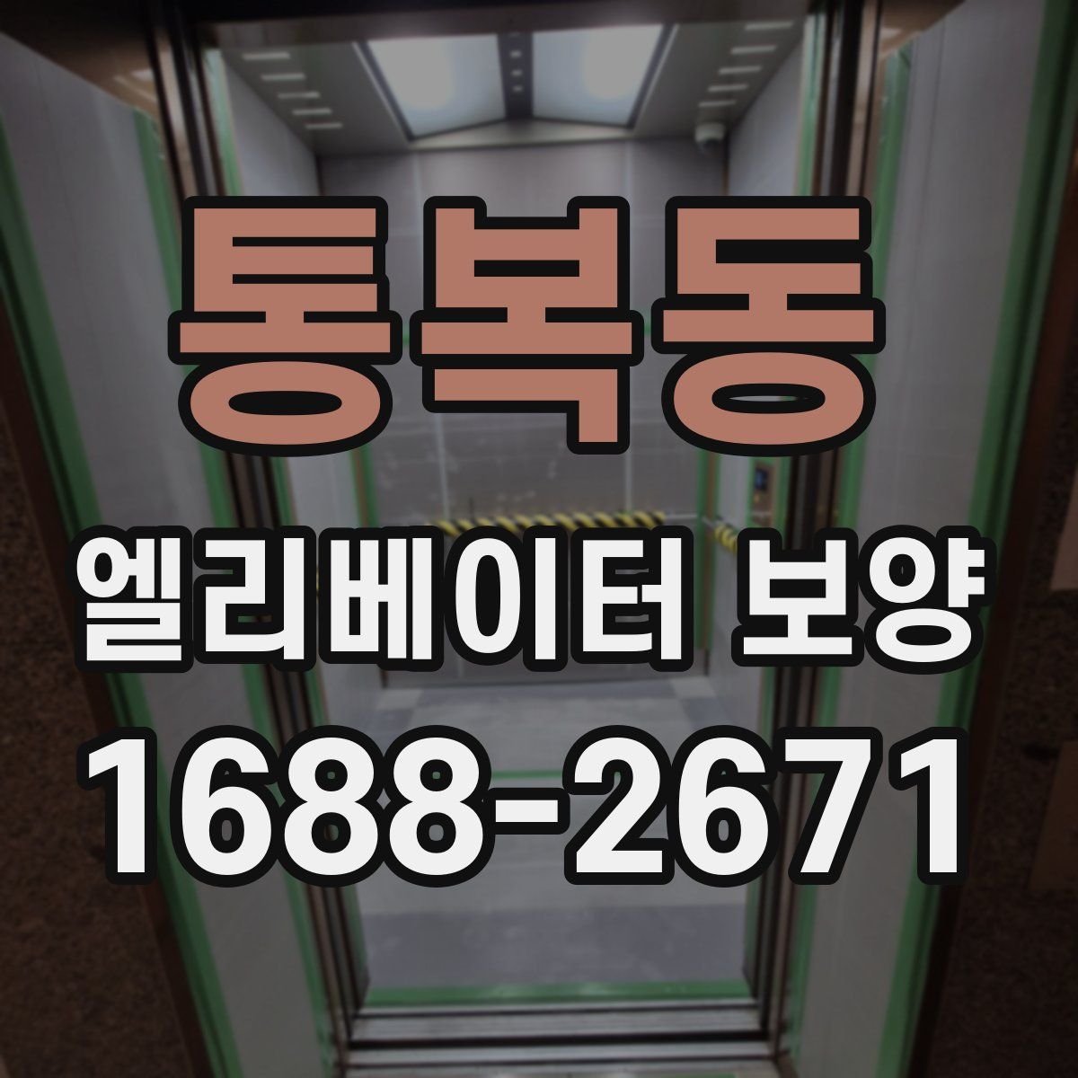 통복동 엘리베이터 보양