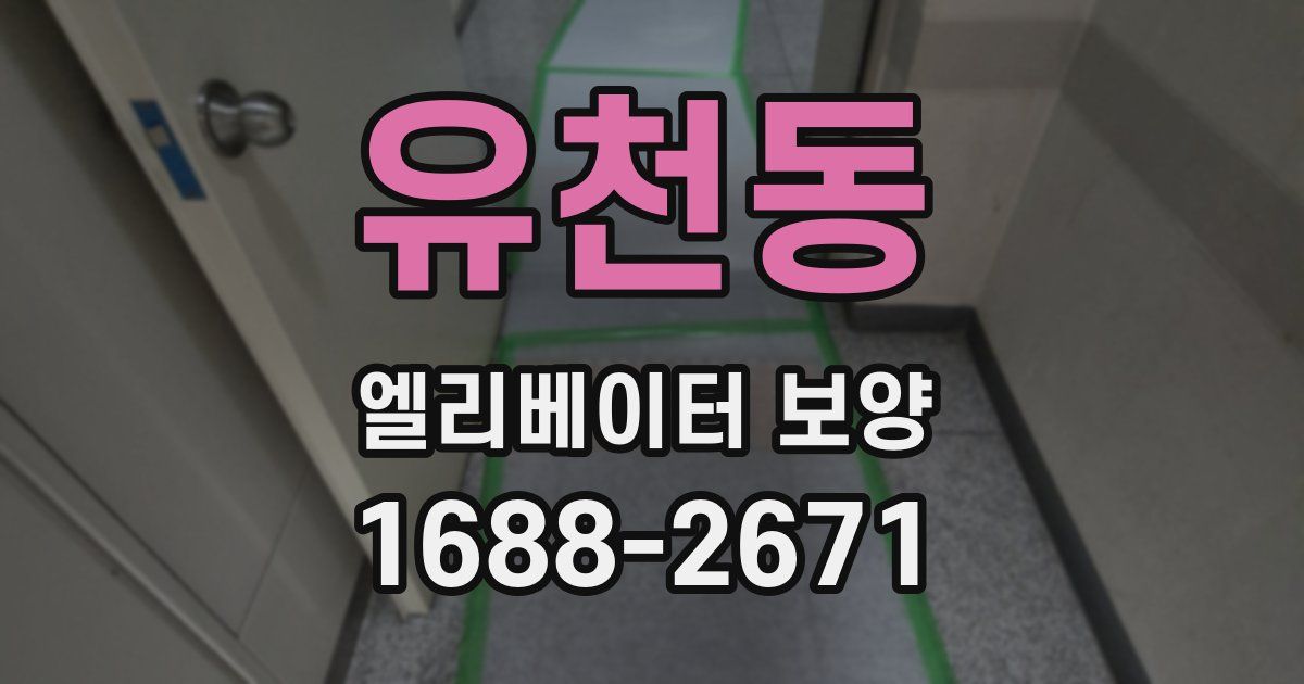 유천동 엘리베이터 보양