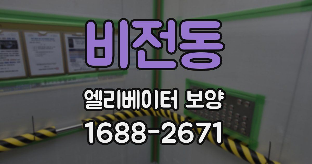 비전동 엘리베이터 보양