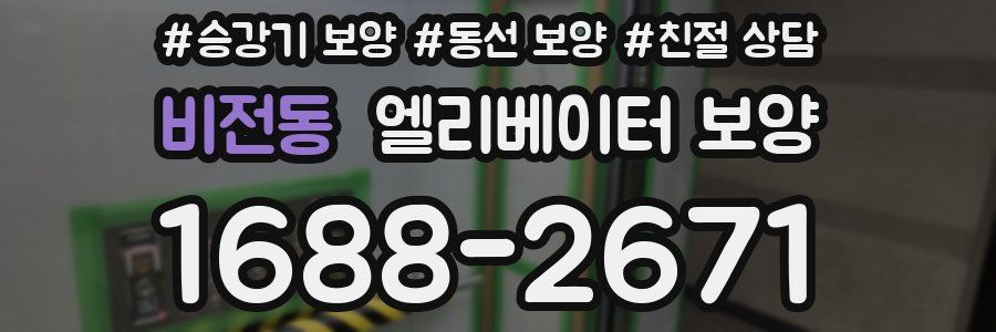 비전동 엘리베이터 보양