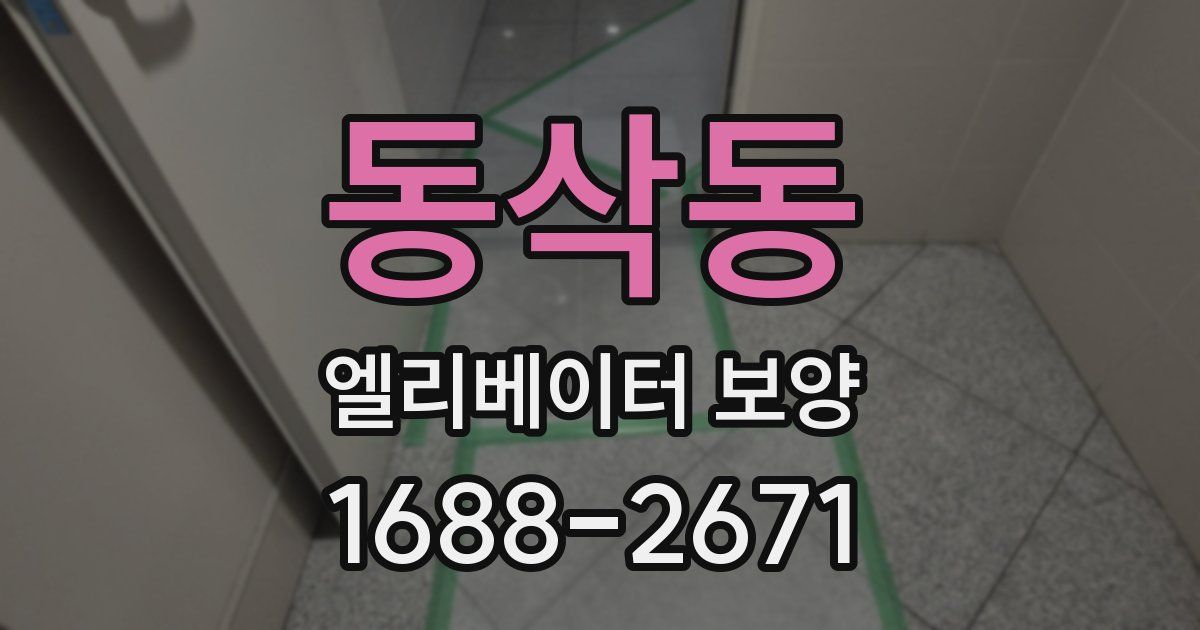 동삭동 엘리베이터 보양