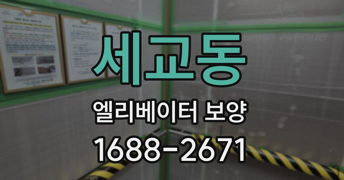 세교동 엘리베이터 보양