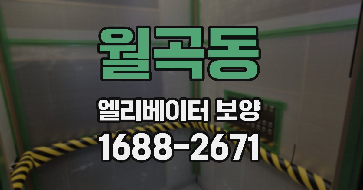 월곡동 엘리베이터 보양