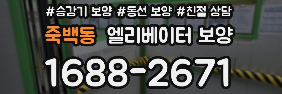 죽백동 엘리베이터 보양