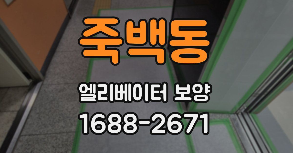 죽백동 엘리베이터 보양