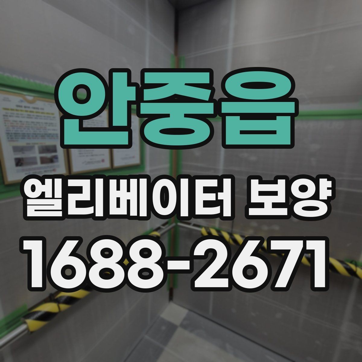 안중읍 엘리베이터 보양 종류별 특징과 활용 상황
