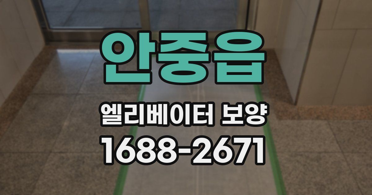 안중읍 엘리베이터 보양