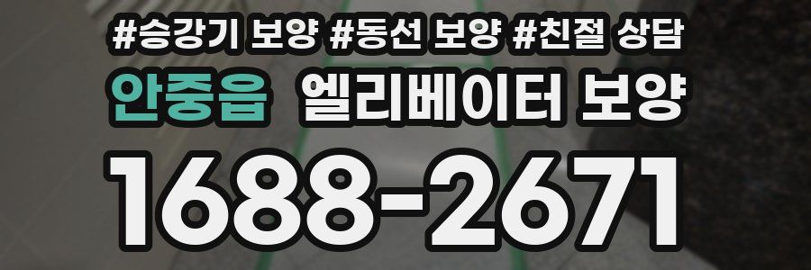 안중읍 엘리베이터 보양