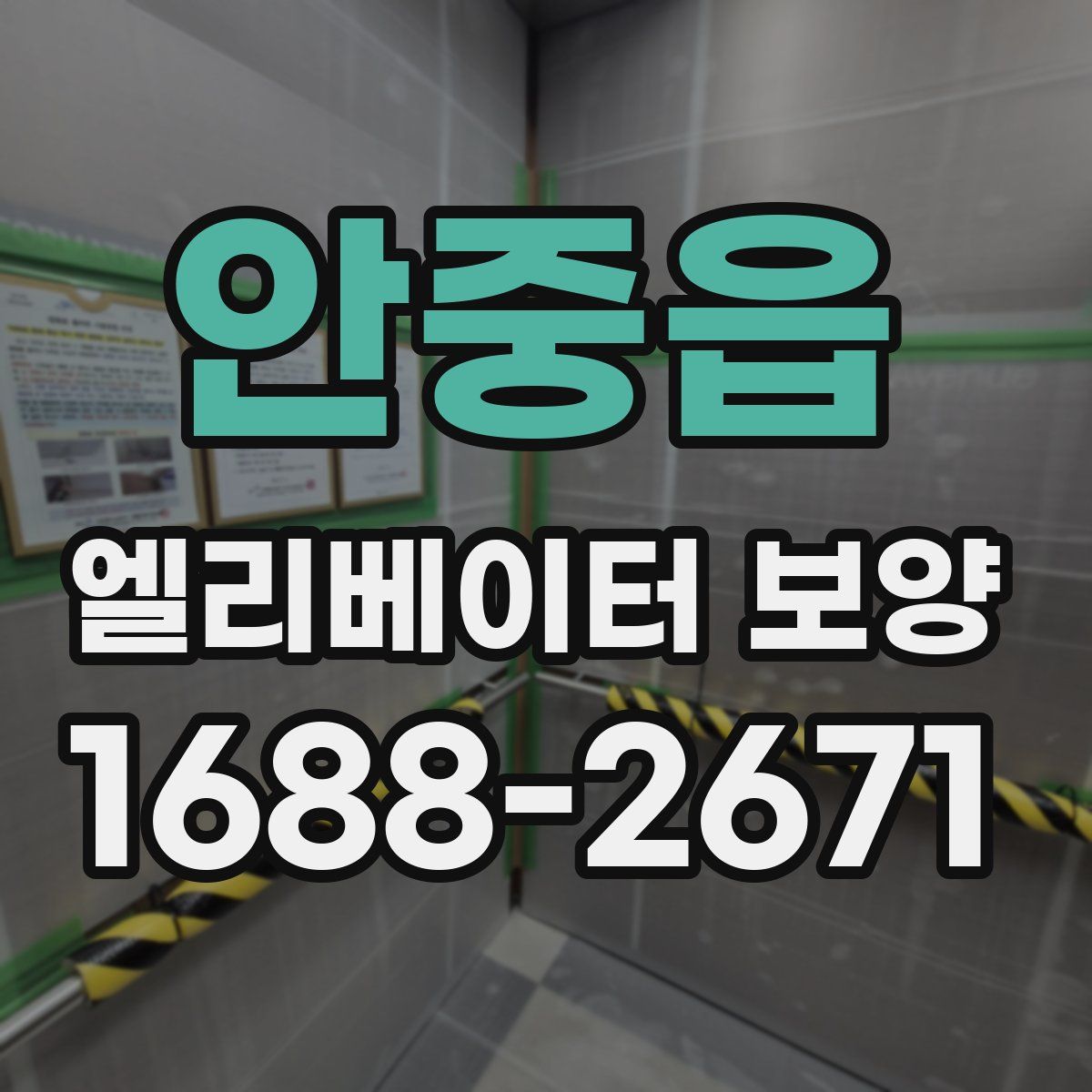 안중읍 엘리베이터 보양