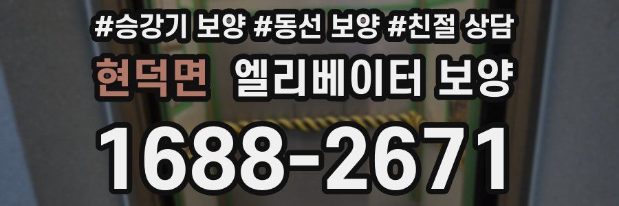 현덕면 엘리베이터 보양