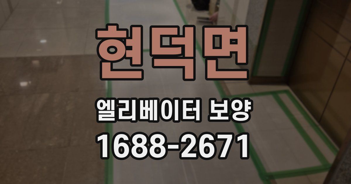 현덕면 엘리베이터 보양