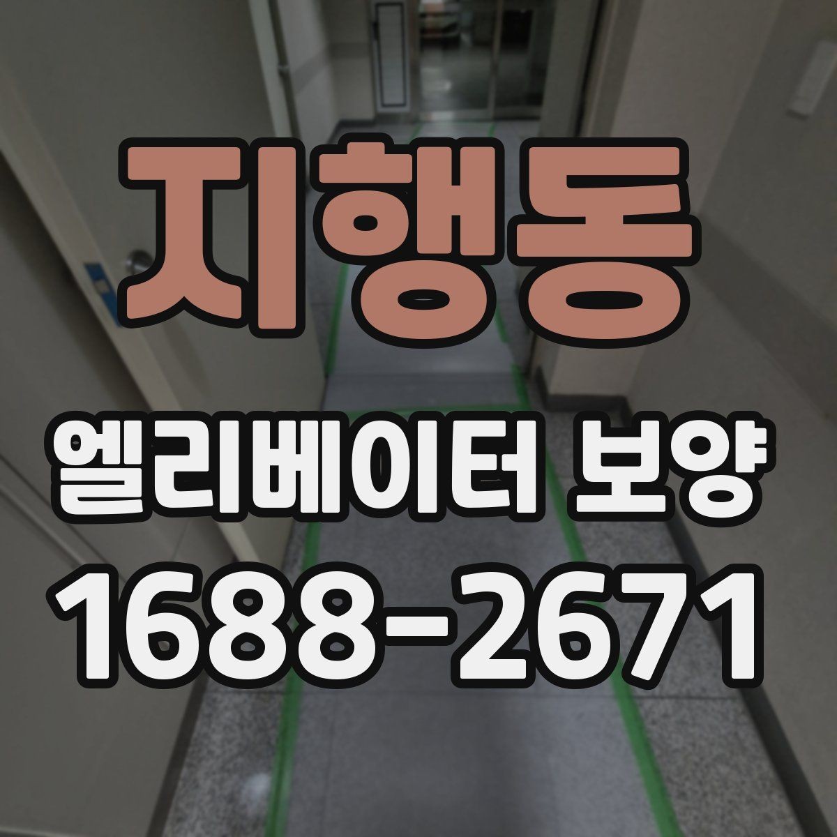 지행동 엘리베이터 보양 후 관리가 중요한 이유