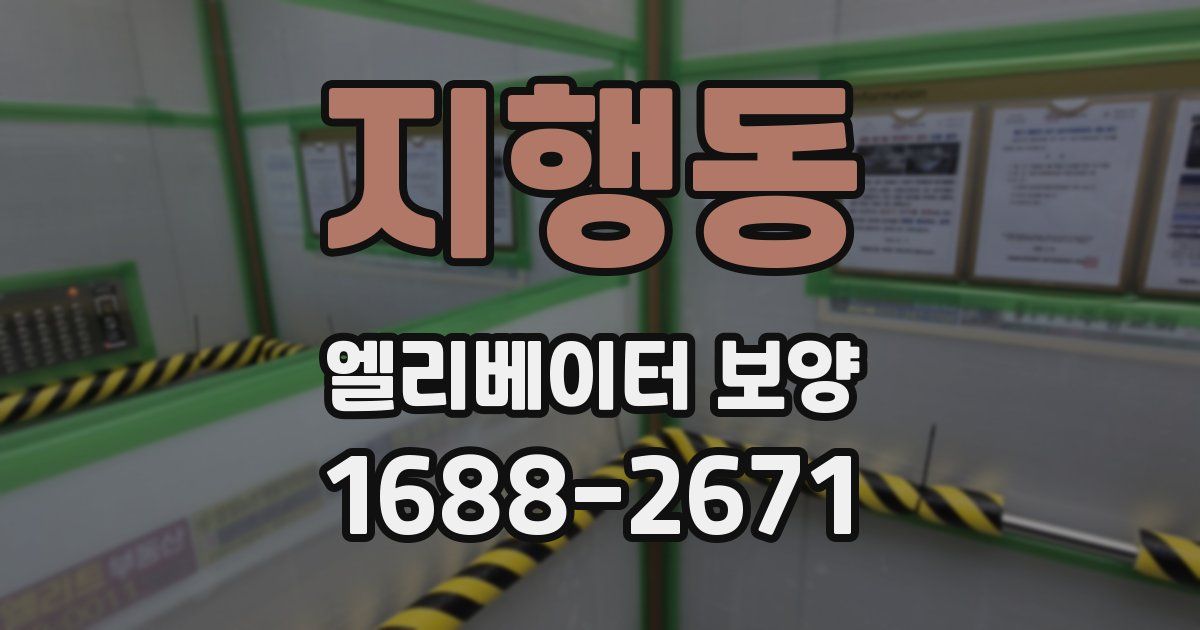 지행동 엘리베이터 보양