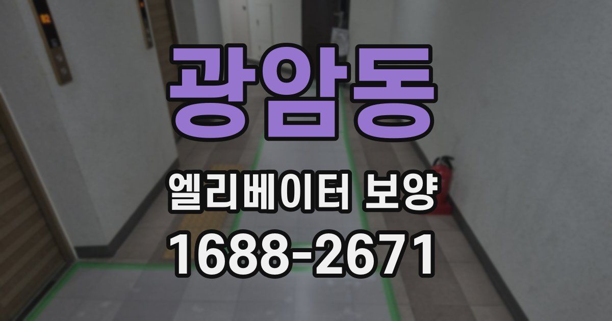 광암동 엘리베이터 보양