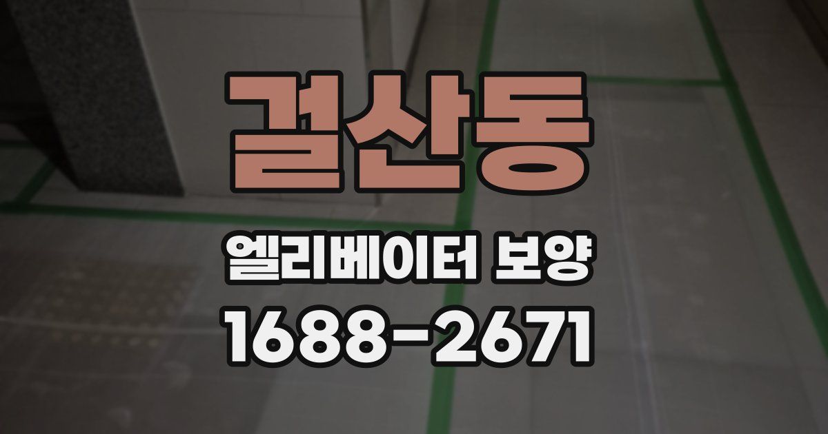 걸산동 엘리베이터 보양